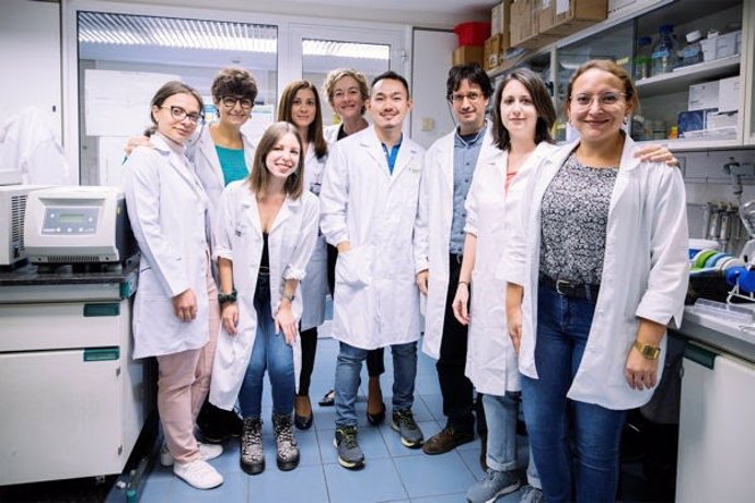 Investigadores de la UB y el Hospital Clínic Universitat de Barcelona (UB) y el Hospital Clínic identifican una proteína implicada en la progresión del adenocarcinoma de pulmón