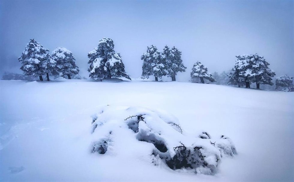 Imagen ganadora del X Concurso de Fotografía de la Fundación AguaGranada