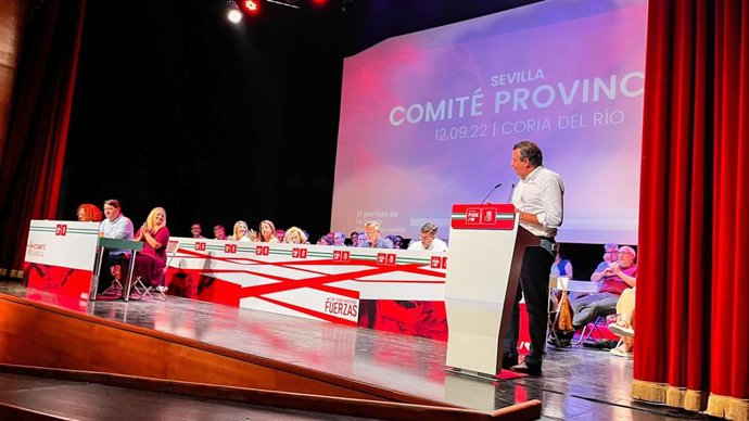 El secretario general del PSOE de Sevilla, Javier Fernández, preside el comité provincial en Coria del Río.