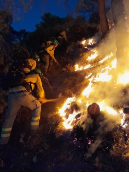 Efectivos del Plan Infoca durante la extinción del incendio de Los Guájares