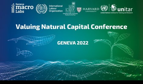 Comunicados Internacional