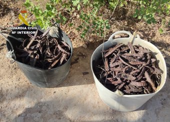 Imagen de efectos agrícolas recuperados por la Gua