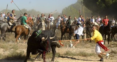 Castilla y León