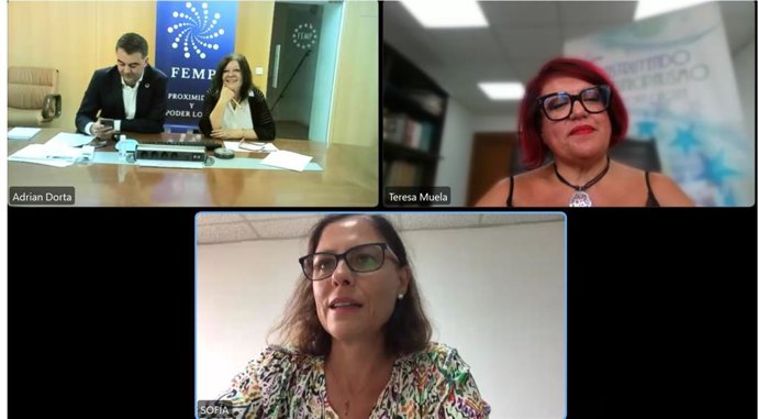 Imagen del webinar de la FAMP sobre suministro de electricidad y Central de Compras de la FEMP.