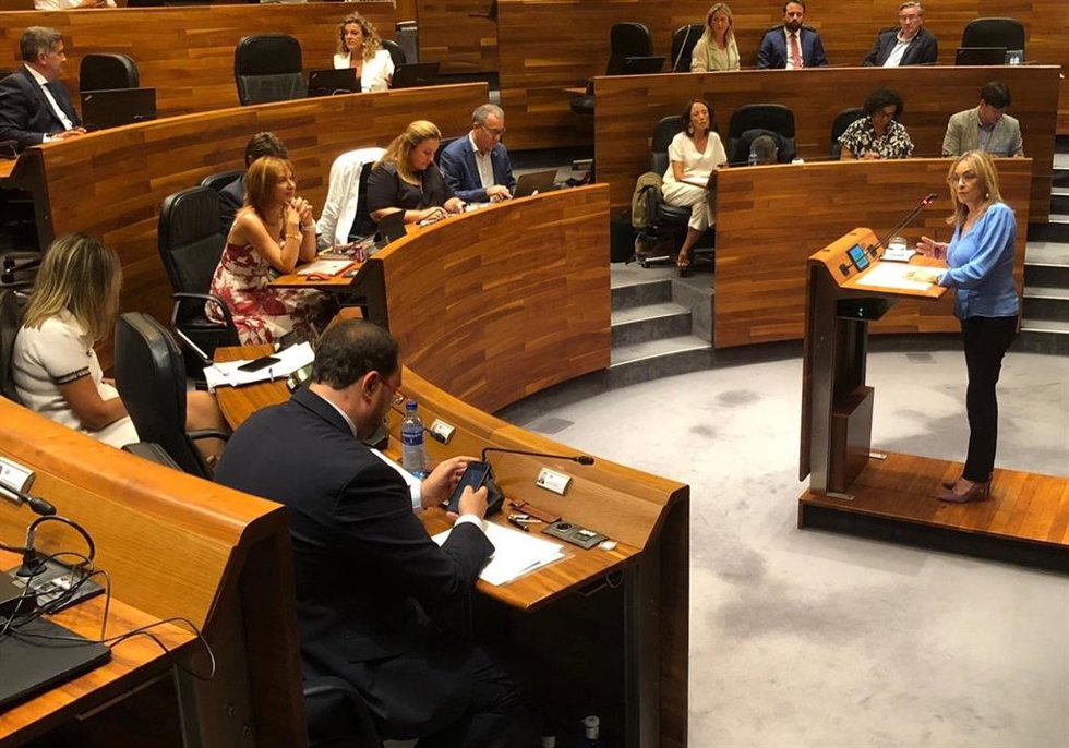 La portavoz de IU en la Junta General, Ángela Vallina