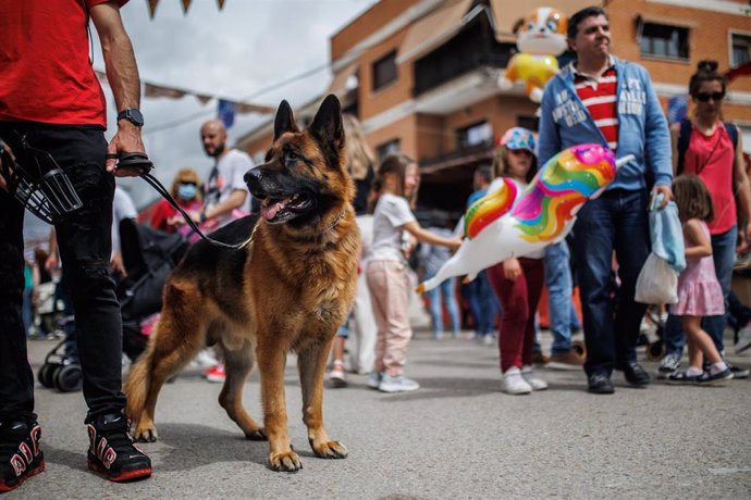 Archivo - Un hombre con un se pasea por la Feria Medieval de El Álamo, a 30 de abril de 2022, en El Álamo, Madrid (España).