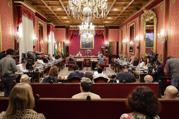 Pleno extraordinario del Ayuntamiento de Granada