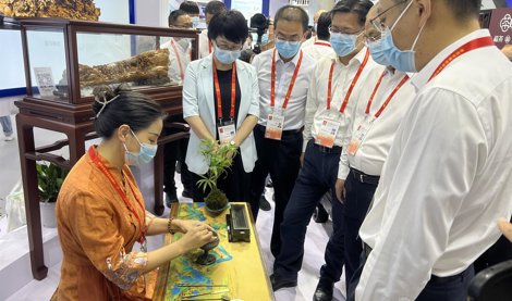 Comunicados Internacional