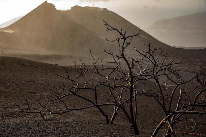 Archivo - Vista del cono volcánico en Cumbre Vieja
