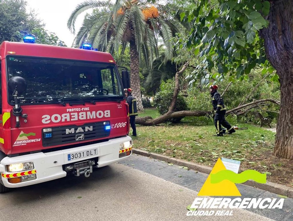 Herida una mujer tras el desplome de un árbol en Puertollano.