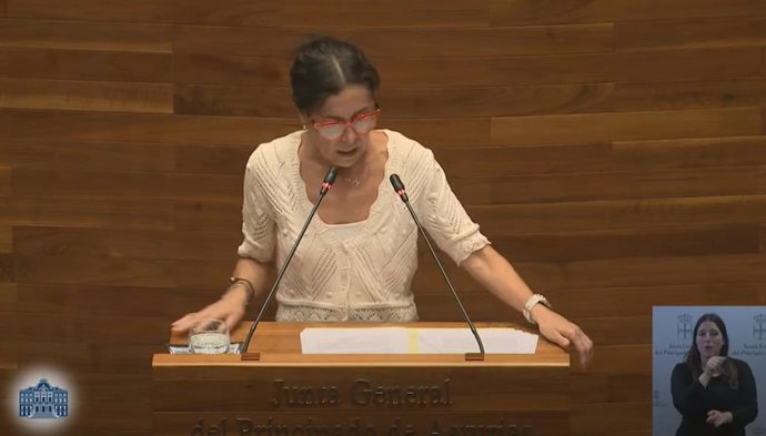 La portavoz del PSOE en la Junta General, Dolores Carcedo.