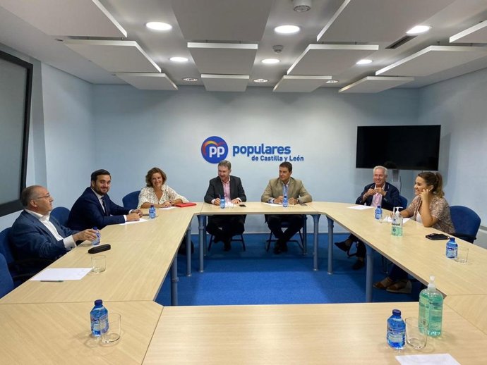 Imagen de la reunión de la Vicesecretaría de Acción Parlamentaria y Electoral reunida en la sede autonómica del PPCyL