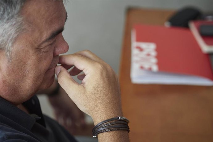El secretario de Organización del Partido Socialista, Santos Cerdán.