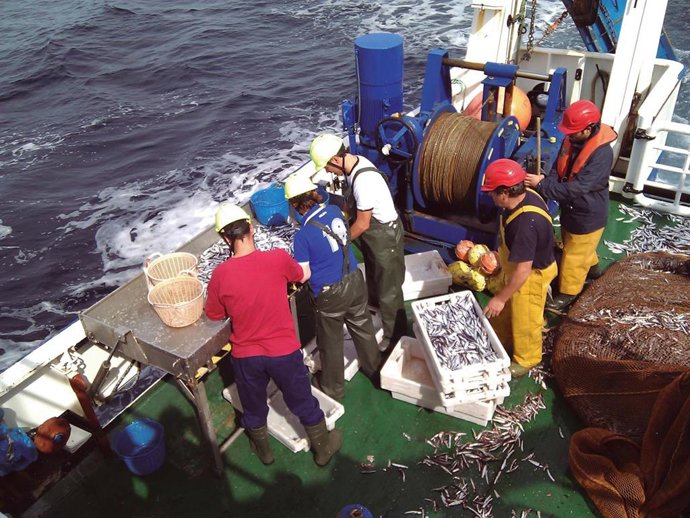 Archivo - Pescadores