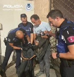 Rescatan un buitre negro desorientado en una calle de Ciudad Lineal