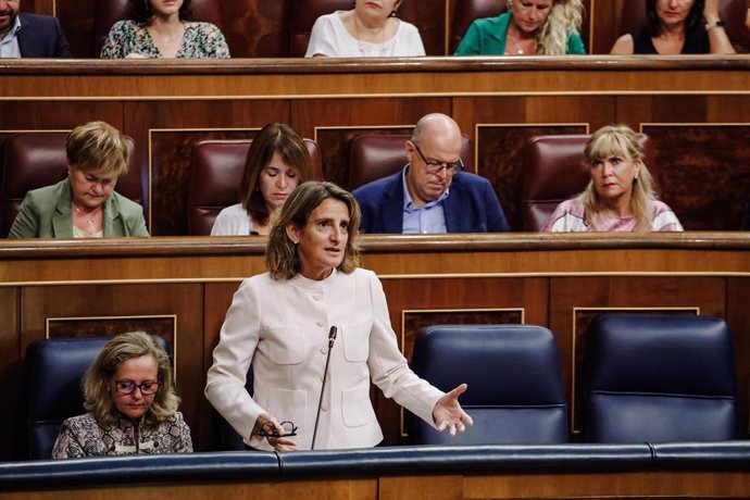 La vicepresidenta tercera y ministra para la Transición Ecológica, Teresa Ribera, interviene durante una sesión plenaria en el Congreso 