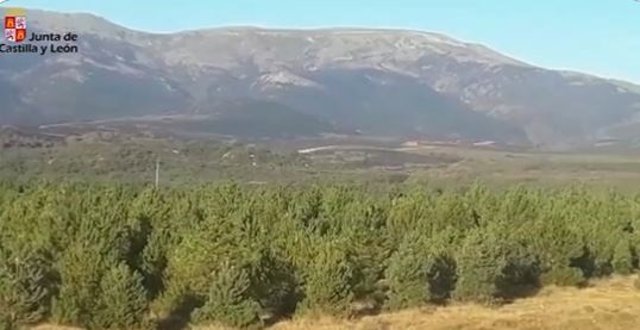 Zona afectada por el incendio del Campo de Tiro del Teleno en la mañana del viernes 2 de septiembre.