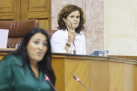 La Mesa del Parlamento acepta sustituir a Durán (Podemos) por Gómez (Más País) como representante de Por Andalucía