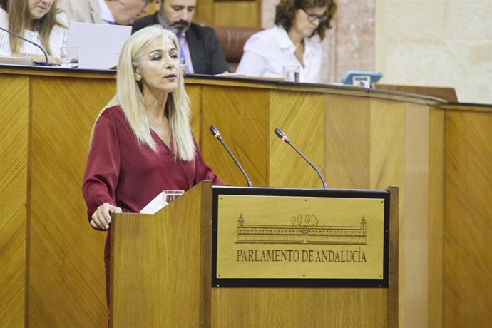 La consejera de Desarrollo Educativo y Formación Profesional, Patricia del Pozo, este miércoles en el Pleno del Parlamento de Andalucía. 