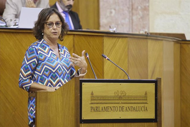 La consejera de Salud, Catalina García, este miércoles durante su intervención en el Pleno del Parlamento.