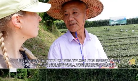 Comunicados Internacional