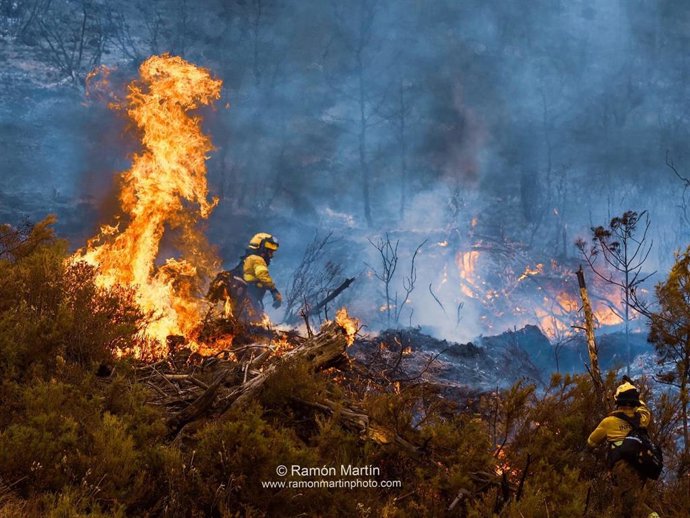 Efectivos del Infoca luchan contra el fuego en Los Guájares (Granada)