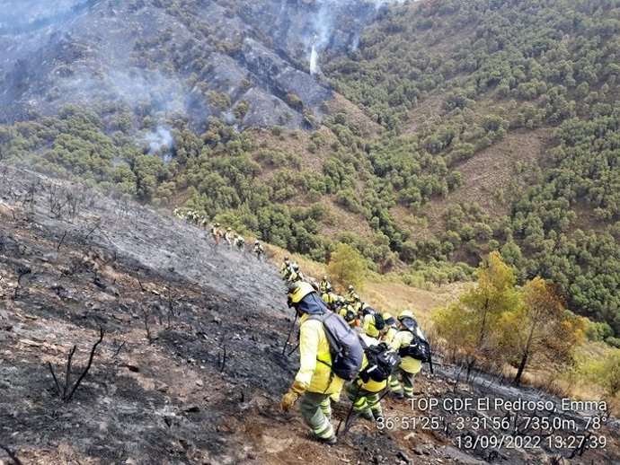 Efectivos del Infoca en la zona del incendio forestal de Los Guájares (Granada)