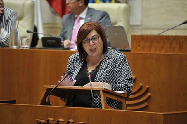 La consejera de Agricultura, Begoña García Bernal, comparece en la Asamblea para explicar la nueva PAC 2023-2027.