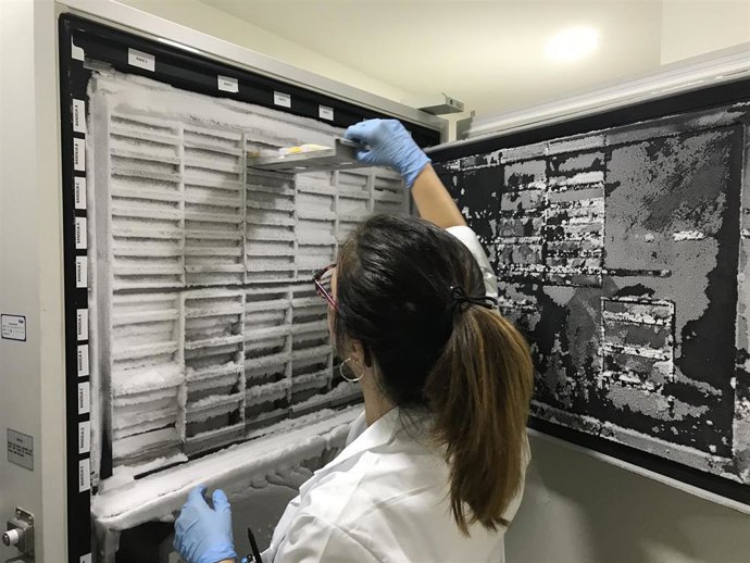 Archivo - Biobanco del Sistema Sanitario Público de Andalucía.