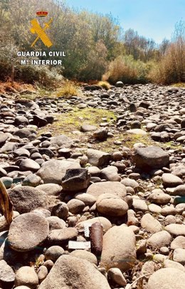 Granada de mortero localizada en el cauce seco del río Jerte