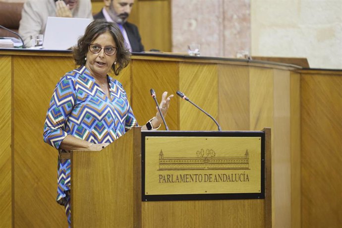 La consejera de Salud y Consumo, Catalina García, en una imagen del miércoles 14 en el Pleno del Parlamento. 