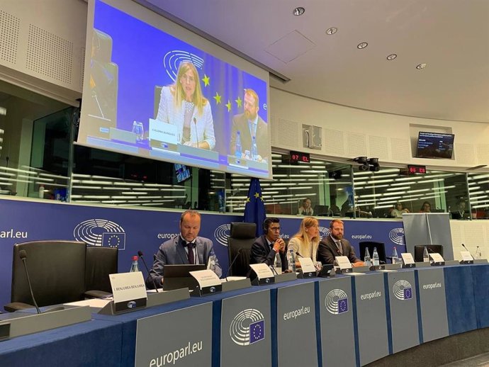 La consellera d'Acció Exterior de la Generalitat, Victria Alsina, al Parlament Europeu a Estrasburg