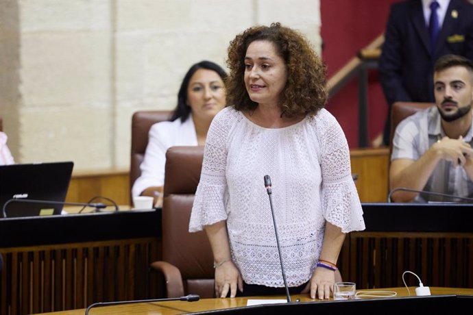 Inmaculada Nieto, portavoz del grupo parlamentario Por Andalucía.