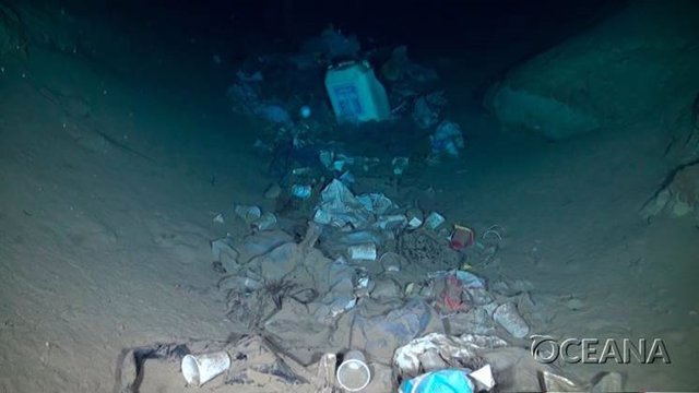 Archivo - Oceana denuncia que el 99 por ciento del plástico que queda abandonado en el mar termina en el fondo y apenas el 1 por ciento se queda en superficie.