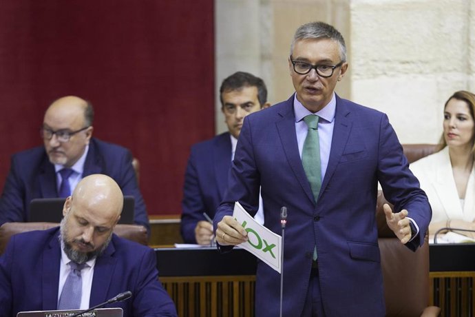 El portavoz parlamentario de Vox, Manuel Gavira, este jueves ante el Pleno del Parlamento