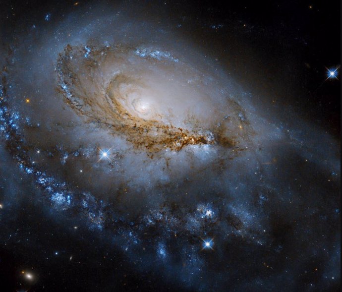 Galaxia NGC 1961