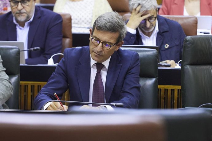 El consejero de Política Industrial y Energía de la Junta de Andalucía, Jorge Paradela, en el Parlamento.