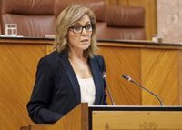 El Parlamento aprueba crear un grupo de trabajo sobre medidas urgentes frente a la sequía a instancias del PSOE-A