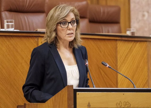 La diputada del Grupo Socialista Ana María Romero defiende la creación de un grupo de trabajo para combatir la sequía en el Pleno del Parlamento andaluz.