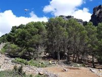 El Infoca mantiene una treintena de efectivos en el incendio de Coto Ríos, en Santiago Pontones (Jaén)