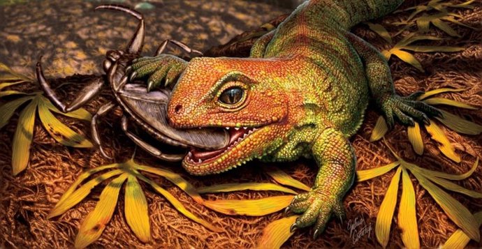 La nueva especie probablemente comía insectos y posiblemente algunos invertebrados de caparazón duro.