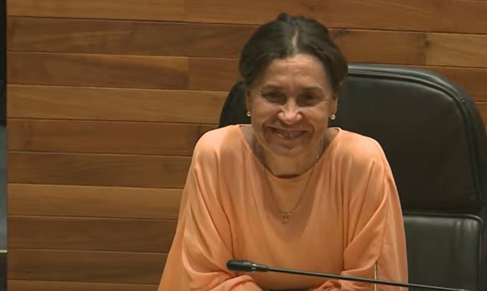 La portavoz del PSOE en la JGPA, Dolores Carcedo