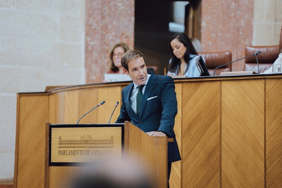 El portavoz adjunto de Vox en el Parlamento de Andalucía, Javier Cortés, en el Pleno del Parlamento.