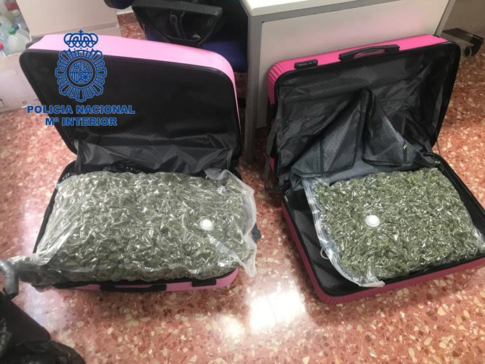 Marihuana decomisada