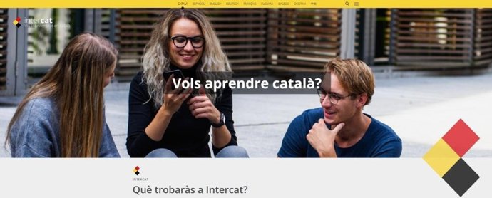 Imatge del disseny del web 'Intercat'