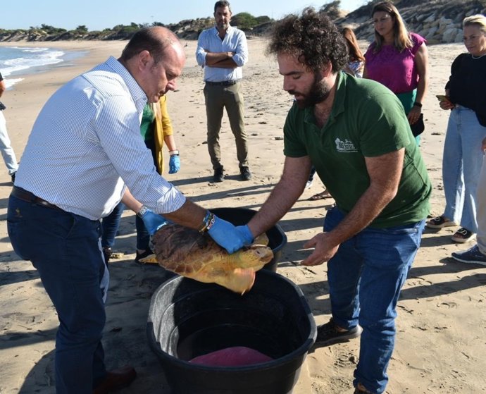 Suelta de tortugas en Rota (Cádiz).