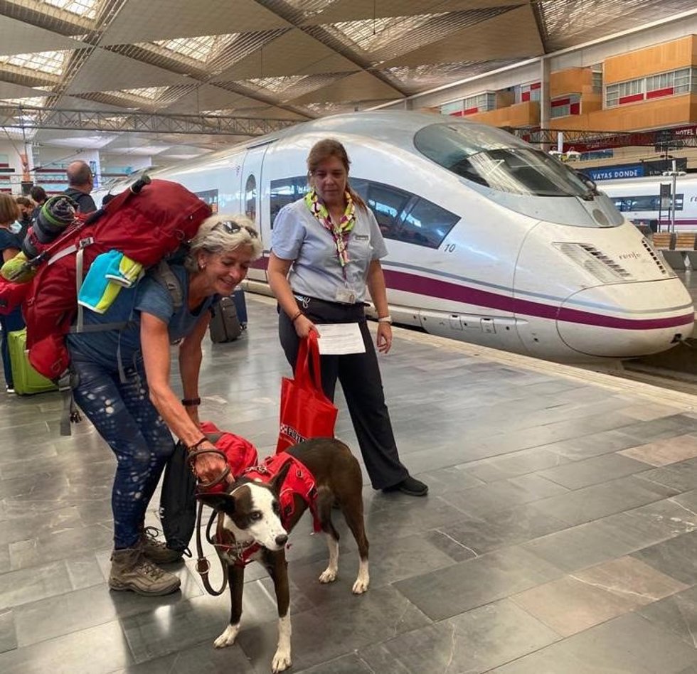 Una perrita de tres años, la primera mascota de hasta 40 kilos que viaja en un AVE desde Zaragoza-Delicias