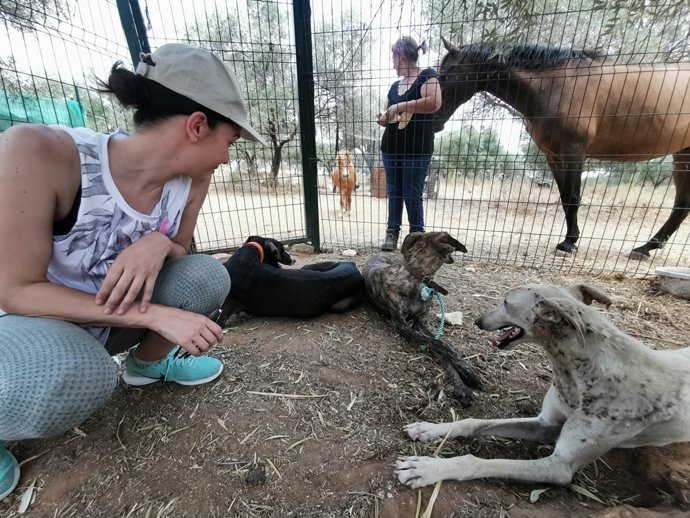 Voluntarias con los galgos rescatados.