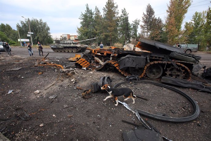 15 September 2022, Ukraine, Izium: A dog walks past a destroyed Russian military vehicle in the city of Izium, which was recently liberated from Russian invaders. Photo: -/Ukrinform/dpa
