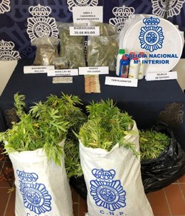 Nota De Prensa + Foto "La Policía Nacional Detiene A Un Vecino De Fuengirola Que Albergaba En La Terraza De Su Domicilio Una Plantación De Marihuana A La Vista Desde La Vía Pública "